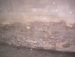 Peeling wall finish caused by persistent damp